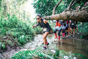 BIB: 
                            <button type="button" onclick="openModal(25475924)" class="btn btn-primary btn-sm float-right btn-popup" data-toggle="modal" data-target=".modal-high-quality">
                        <i class="fas fa-shopping-cart"></i> Add to Cart
                    </button>
                                            <button type="button" onclick="isThisMe(25475924, true)" class="btn btn-success btn-sm float-right btn-popup btn-isme hidden" data-toggle="tooltip" data-placement="bottom" title="นี่คือรูปของคุณใช่ไหม คลิกที่นี่เพื่อเอาเข้าอัลบั้ม">
                        <i class="fas fa-plus"></i> Add to album
                    </button>
                    <button type="button" onclick="isThisMe(25475924, false)" class="btn btn-warning btn-sm float-right btn-popup btn-isnotme hidden">
                        <i class="fas fa-ban"></i> Remove from album
                    </button>